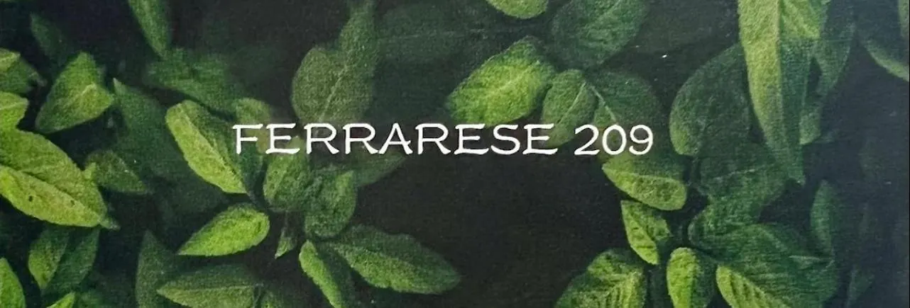 Ferrarese209 Apartment Bologna